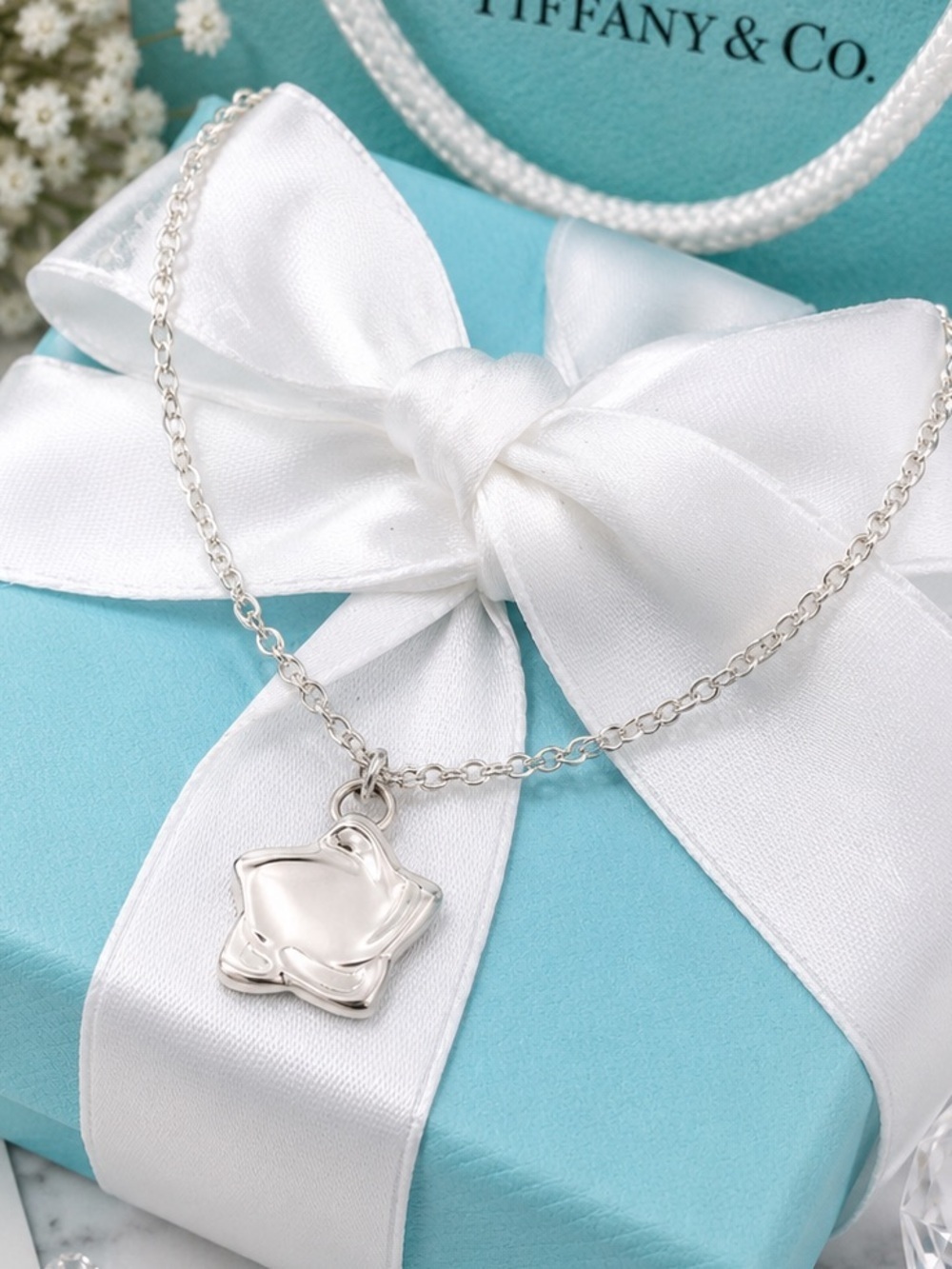 Large Tiffany & Co. Elsa Peretti Sterling Silver Star Rare Necklace Pendant 18”